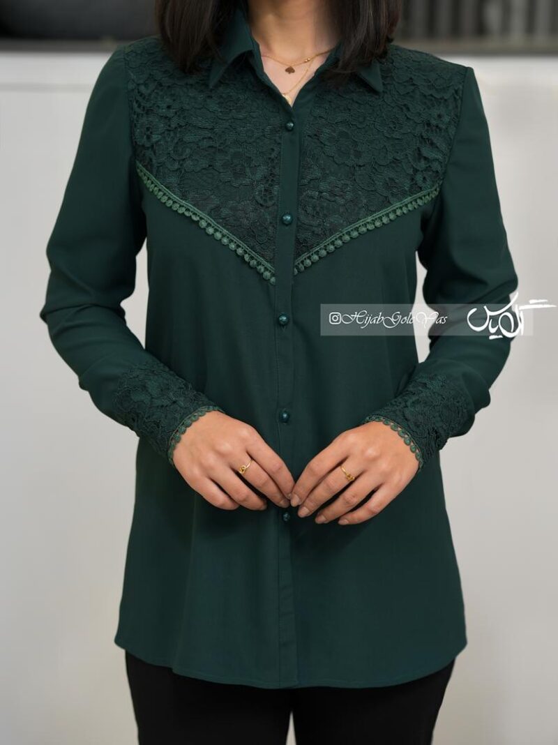 شومیز گلورا کد 1916 - تصویر 1